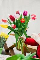 femme fleuriste fait bouquet de tulipes fraîches.