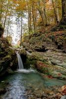 cascade d'eau de rivière dans la forêt en automne photo