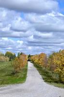 une ligne de campagne bordée d'arbres colorés sous un ciel rempli de nuages bleus photo