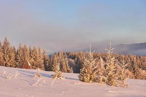 paysage d'hiver mystérieux montagnes majestueuses en hiver. arbre couvert de neige d'hiver magique. carpates. Ukraine photo