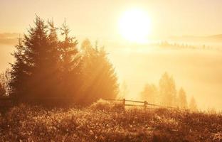 brouillard d'automne et le beau soleil du matin dans un paysage photo