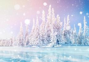 paysage d'hiver mystérieux montagnes majestueuses en hiver. arbre couvert de neige d'hiver magique. carte de voeux photo. effet de lumière bokeh, filtre doux. photo
