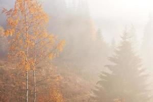 brouillard d'automne et le beau soleil du matin dans un paysage