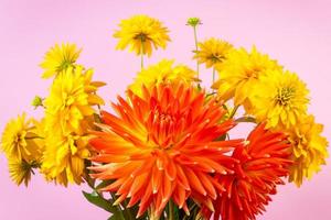 bouquet de chrysanthèmes jaunes frais et de dahlias rouges sur fond rose photo