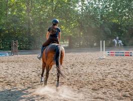 cheval au galop monté par amazon photo