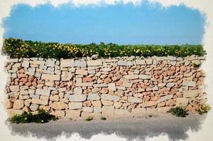 dessin à l'aquarelle d'un mur orange jaune en brique de pierre le long d'une rue asphaltée et d'un champ de camomille camomille au-dessus et d'un ciel bleu près des falaises de dingli photo