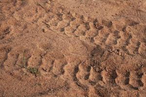 Traces de roue de moto au sol photo