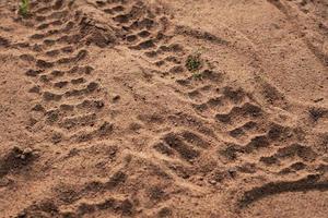 Traces de roue de moto au sol photo