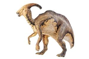parasaurolophus, dinosaure sur fond blanc.