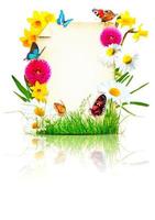 composition de fleurs. cadre photo, fleurs de printemps sur fond de parchemin. photo