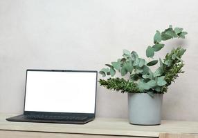 vue de face d'une maquette d'ordinateur portable sur une table en bois avec des feuilles d'eucaliptus vert frais et de buis dans un vase en béton. intérieur de style scandinave et japonais. modèle d'image d'écran photo