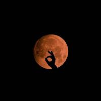 silhouette de main de lapin sur la lune des moissons