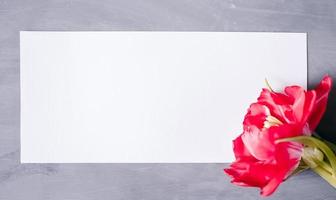 espace de copie papier vierge. cadre avec des fleurs. ruban de soie. fond gris. bouquet simple. carte de voeux. photo