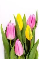 bouquet de tulipes jaunes et roses isolé sur fond blanc avec un tracé de détourage. fond de la saint-valentin et de la fête des mères. photo