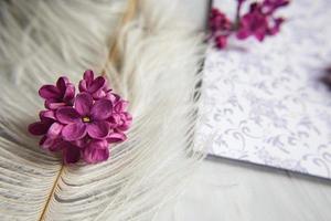 fleurs violettes lilas sur une plume d'autruche blanche. photo