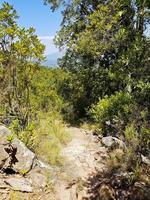 forêt, ciel bleu et montagnes dans le parc national de tablemountain. photo