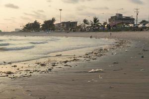 les sacs en plastique sur les plages de sable sont causés par l'action humaine. la crasse de la mer et le danger des déchets pour les animaux aquatiques photo