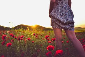 femme sexy en robe à fleurs debout dans un champ de coquelicots à l'extérieur regarde le coucher de soleil romantique avec fond de ciel clair espace vide photo