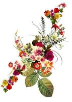 conception de modèle de fleurs fond tropical botanique sans couture floral photo