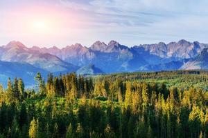 coucher de soleil fantastique dans les montagnes de l'ukraine. bon arbre d'éclairage photo