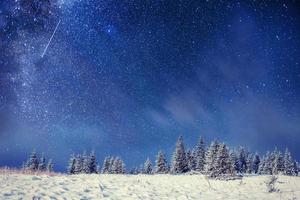 randonnée des étoiles laitières dans les bois d'hiver photo