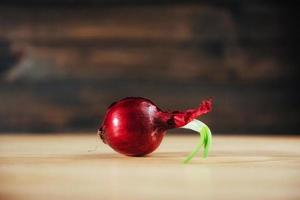 oignons rouges avec tiges sur une table en bois. photo