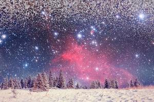 randonnée des étoiles laitières dans les bois d'hiver. photo