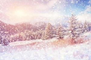 paysage d'hiver magique, arrière-plan avec quelques reflets doux