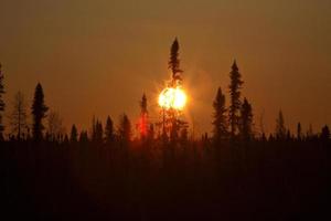 soleil approchant du coucher du soleil dans le nord de la saskatchewan photo