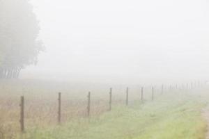 brume brouillard le long de la clôture canada photo