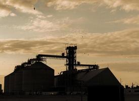 nuages et oiseaux et la silhouette d'un silo photo