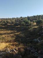 paysages étonnants d'israël, vues sur la terre sainte photo