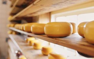 processus de production dans l'industrie laitière - fromage frais produit dans une fromagerie sur l'étagère photo