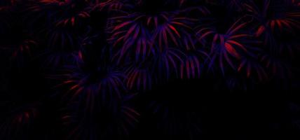 feuilles rougeoyantes de lumière noire tropicale. photo