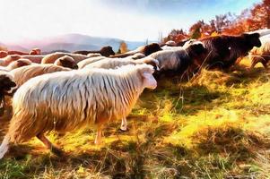 les œuvres dans le style de la peinture à l'aquarelle. troupeau de moutons photo