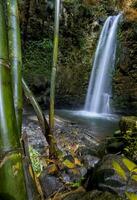 cascade cachée purbosono dans une forêt photo