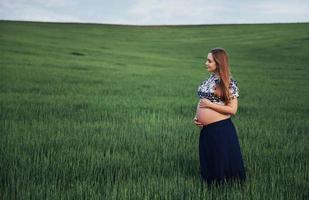femme enceinte dans un champ de blé vert photo