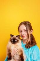 adolescente avec un chat dans ses bras. fille dans un sweat à capuche bleu sur fond jaune. photo