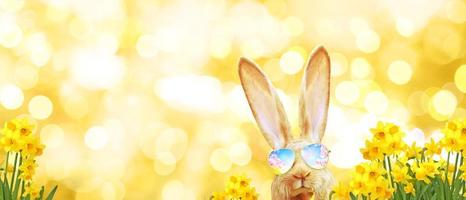 drôle de lapin de Pâques. concept de joyeuses fêtes de pâques. photo