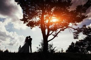 portrait de beau couple de mariage au coucher du soleil photo