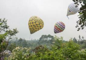 3 montgolfières volant dans la forêt