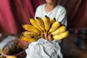 banane cultivée pour la transformation, banane dans la main du vendeur photo