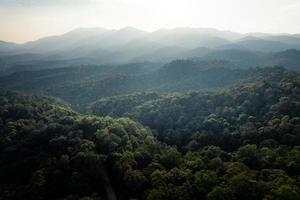 forêt tropicale à angle élevé et route dans la forêt photo