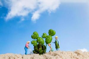 jardinier de personnes miniatures travaillant sur des plantes de cactus photo