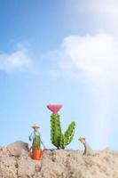 jardinier de personnes miniatures travaillant sur des plantes de cactus photo