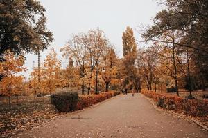 feuilles d'automne dans le parc