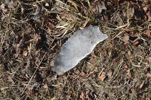 un morceau de glace gelée se trouve sur l'herbe photo