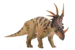 dinosaure styracosaurus sur fond isolé