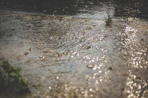 l'eau après la pluie du matin. photo