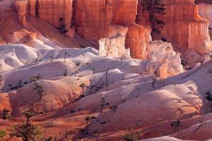 vue panoramique sur le canyon de bryce photo